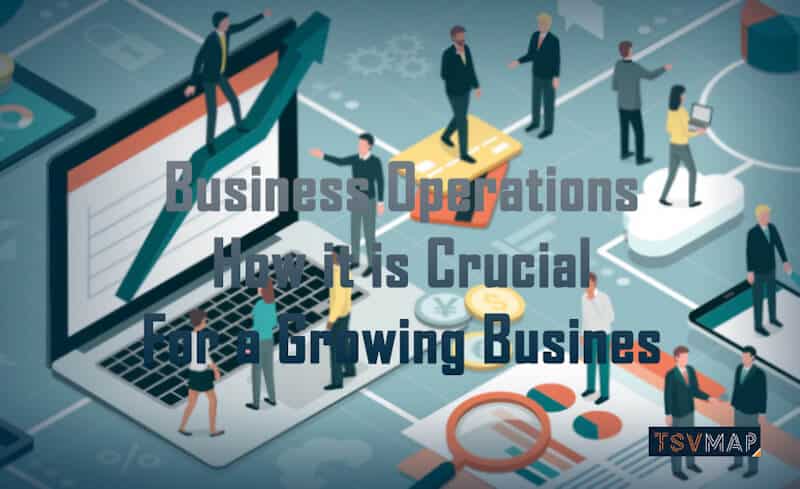Business Operations - How it is Crucial, MRP, ERP, Assessment, IT Infrastructure, TSVmap, Greenville, SC, USA